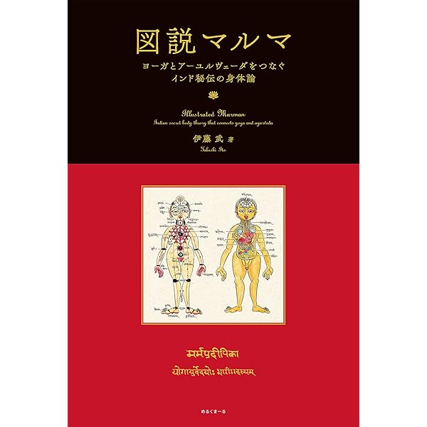 図説 ヨーガ・スートラ 図説ヨーガ・スートラ (いんどいんどシリーズ