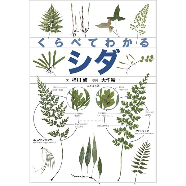 Amazon.co.jp: 日本産シダ植物標準図鑑2 : 海老原淳, 日本シダの会: 本