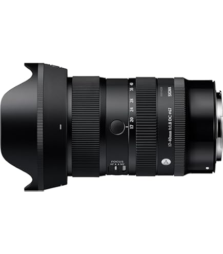 Amazon.co.jp: シグマ(Sigma) レンズ 18-50mm F2.8 DC DN Canon