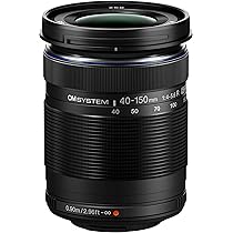 819cvidtNQL._AC_UL210_SR210,