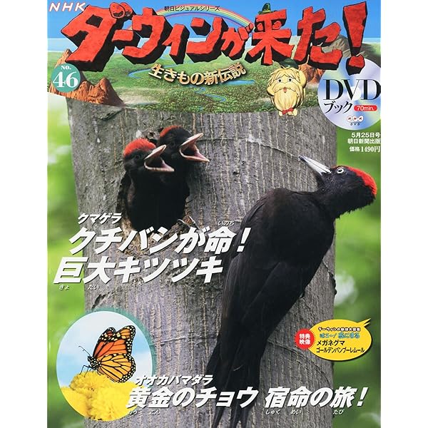 ダーウィンが来た!生きもの新伝説DVDブック 4号 |本 | 通販 | Amazon
