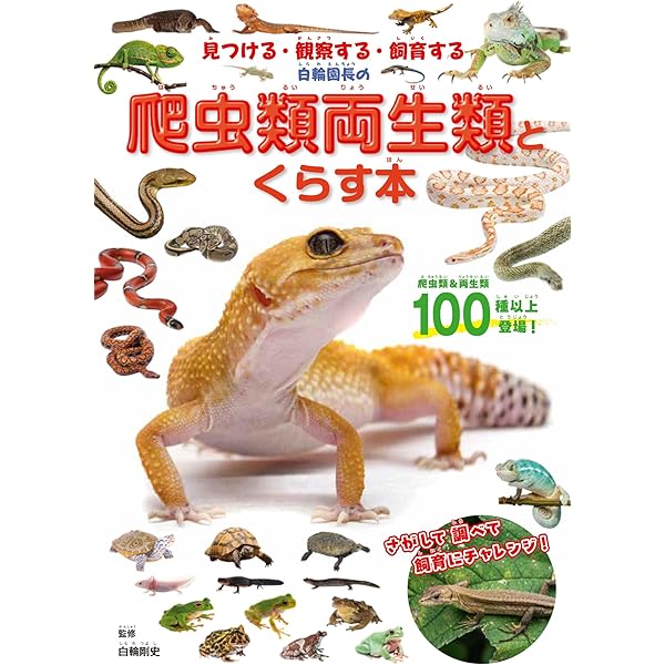 トカゲ大全 LIZARDS OF THE WORLD | マーク・オシー, 冨水 明, 海老沼