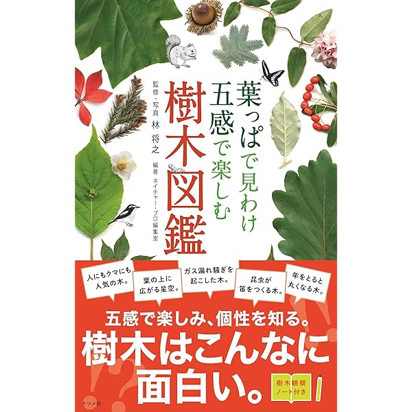 フィールド・ガイドシリーズ23 葉で見わける樹木 増補改訂版23 (小学館