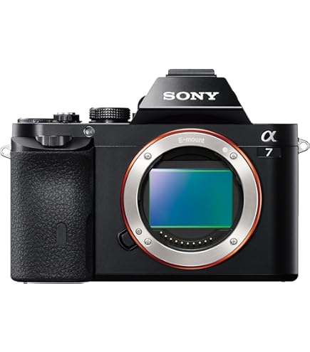 Amazon | SONY(ソニー) フルサイズ ミラーレス一眼カメラ α7II ボディ