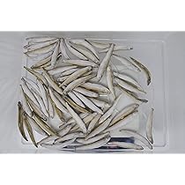 Amazon | [うずらや]豊橋産 冷凍ウズラ 未処理 1ケース25羽入×3セット