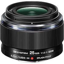 81LD-ErdNOL._AC_UL210_SR210,