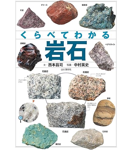 Amazon.co.jp: 岩石標本（岩石標本15種） /3-657-06 : おもちゃ