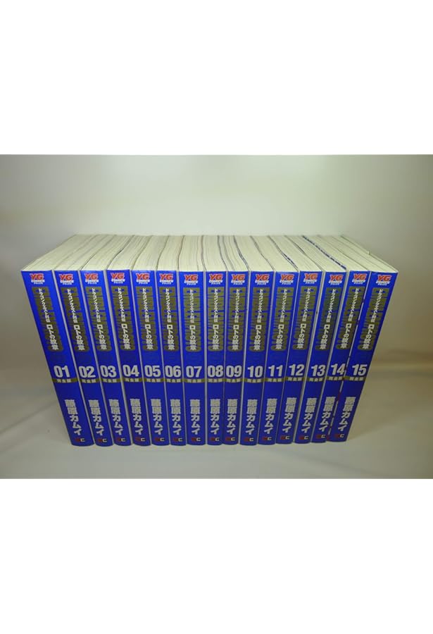 Amazon.co.jp: ドラゴンクエスト列伝 ロトの紋章 完全版(2) (ヤング