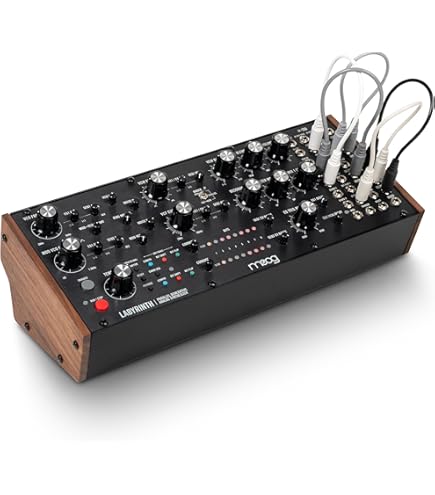 Amazon.co.jp: Make Noise Strega ストレガ セミモジュラー