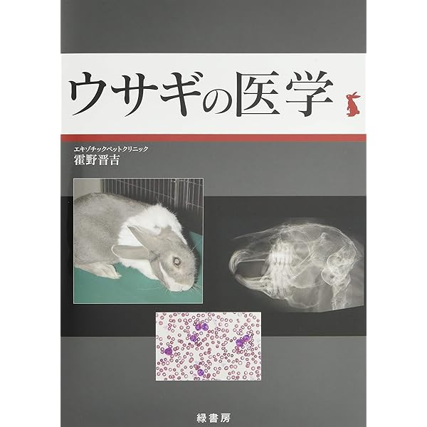 できる!!ウサギの診療 | 沖田将人 |本 | 通販 | Amazon