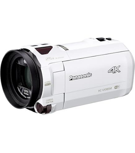 Amazon.co.jp: パナソニック SD/HDDビデオカメラ シルバー SDR-H80-S