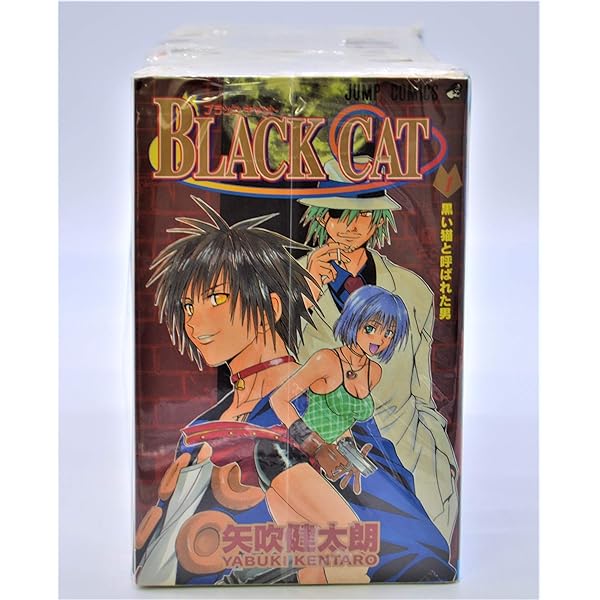 Amazon.co.jp: BLACK CAT 全12巻セット (集英社文庫(コミック版
