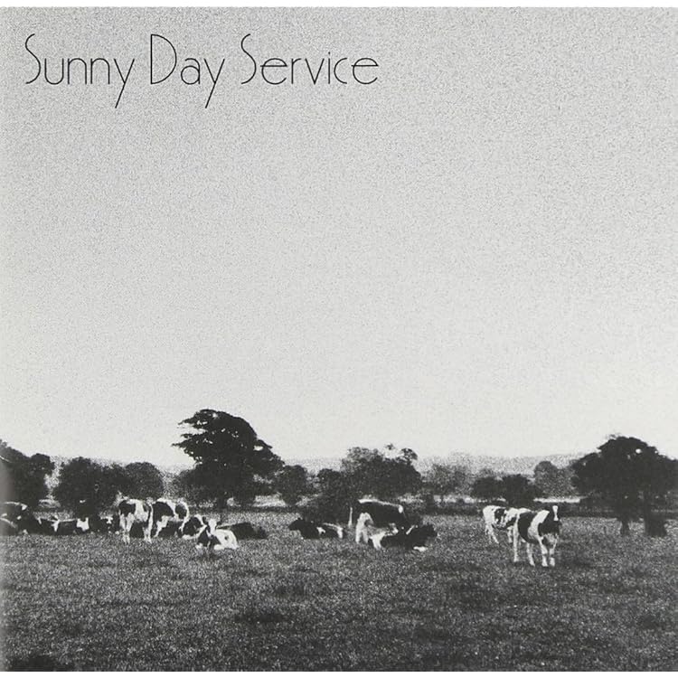 Amazon.co.jp: 愛と笑いの夜: ミュージック