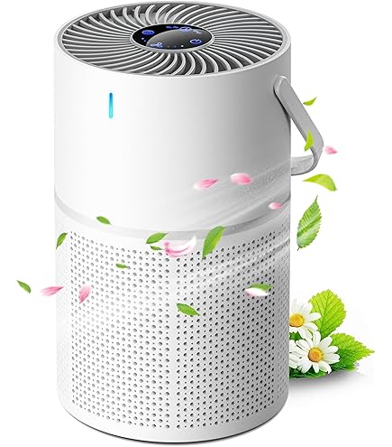 Amazon.co.jp: 空気清浄機 Flow A3 FA31-202BL : ホーム＆キッチン