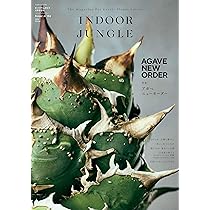 INDOOR JUNGLE （インドアジャングル）No.04 アガベ ニューオーダー