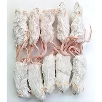 81l8dmCQfCL._AC_UL210_SR210,