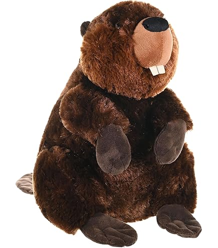 Amazon.co.jp: SUPER BEAVER スーパービーバー ビーバーちゃん