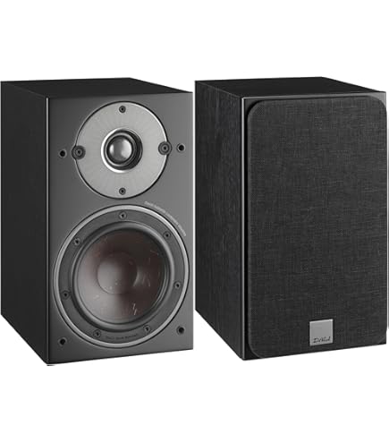 Amazon.co.jp: ONKYO スピーカー INTEC D-212EXT [ペア] : 家電＆カメラ