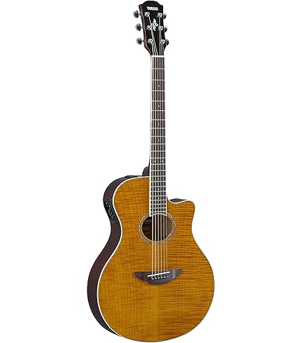 Amazon | Takamine/タカミネ EF341SC BL エレアコギター 【ワールド