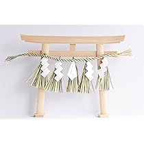 81ybPqZEZRL._AC_UL210_SR210,