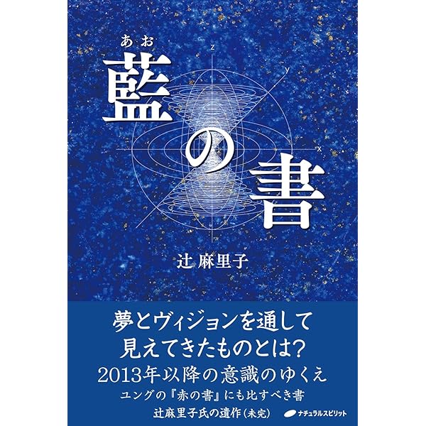 Amazon.co.jp: 太陽の国へ―22を超えてゆけ〈2〉 : 辻 麻里子: 本