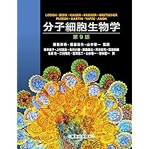 ストライヤー生化学 (第8版) | J. M. Berg, J. L. Tymoczko, G.J.