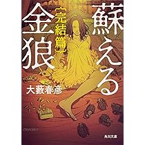 916SFtLgHdL._AC_UL210_SR210,