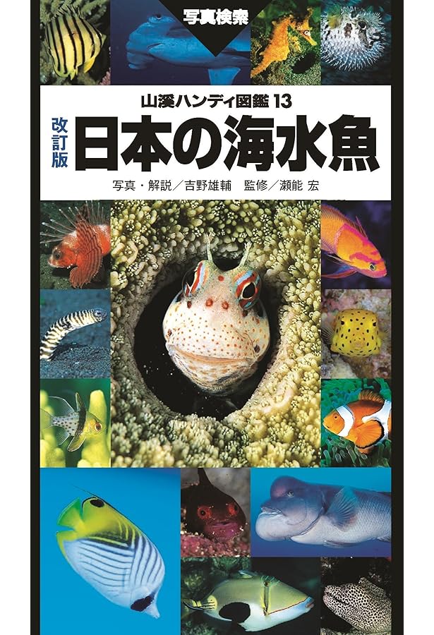 日本の海水魚 (山溪ハンディ図鑑) | 吉野 雄輔, 瀬能 宏 |本 | 通販