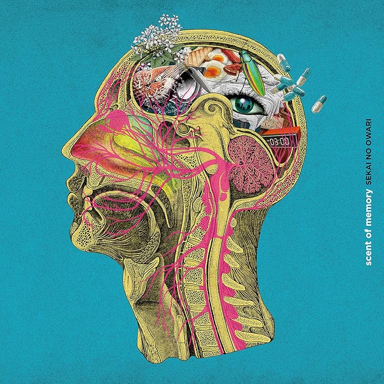 Amazon.co.jp: 【Amazon.co.jp限定】SEKAI NO OWARI 2010-2019[完全