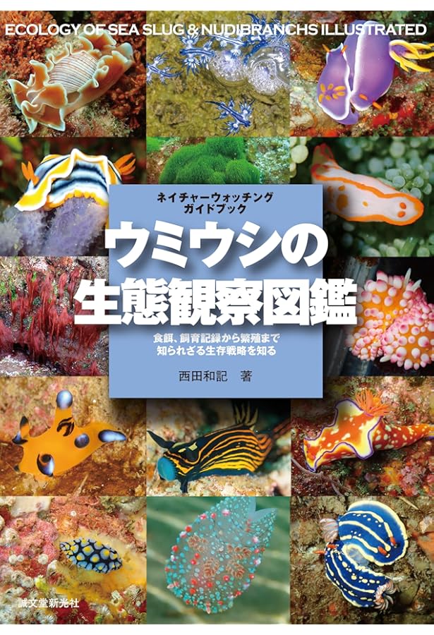 Amazon.co.jp: スズメダイ (ネイチャーウォッチングガイドブック