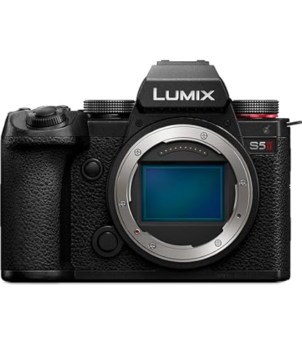 Amazon | PANASONIC LUMIX GH5 ボディ 4K ミラーレスカメラ 20.3メガ