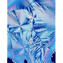 Amazon.co.jp: 碧い海 (AL) (初回限定盤) - DUSTCELL: ミュージック