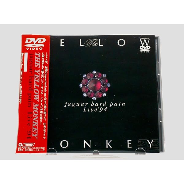 Amazon.co.jp: Life Time SCREEN(追憶の銀幕) [DVD] : THE YELLOW