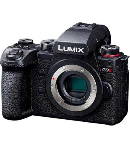 Amazon | パナソニック ミラーレス一眼カメラ GF1 レンズキット(20mm