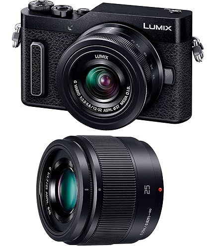Amazon.co.jp: Panasonic Lumix GF10 Mirrorless SLR Camera Double