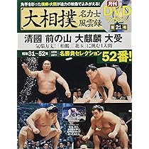 91rSgEWrf-L._AC_UL210_SR210,