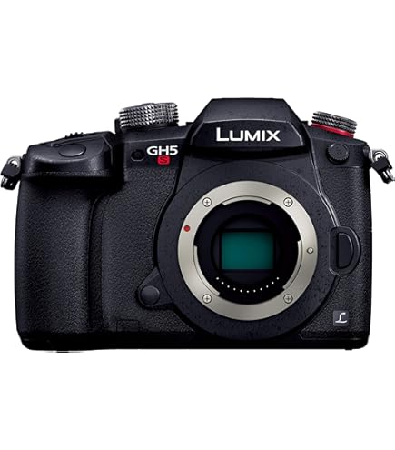 Amazon | パナソニック ミラーレス一眼カメラ ルミックス GH5 ボディ