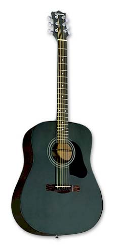 Amazon.com: Silvertone SD10 Acoustic Guitar Package, Black