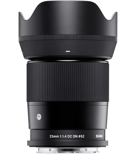 Amazon.com : Sigma 56mm F1.4 DC DN | C for Micro 4/3 : Electronics