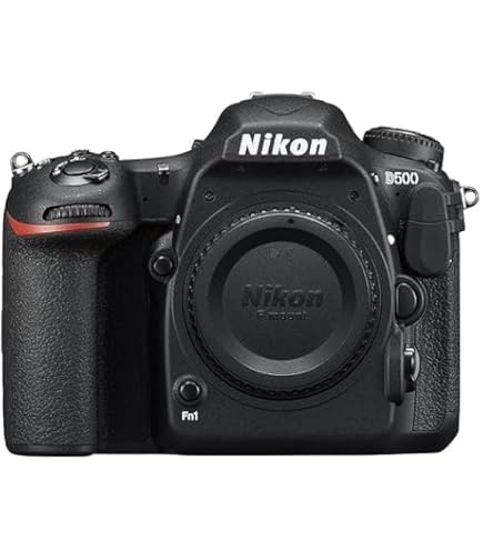 Amazon.com : Nikon D500 20.9 MP CMOS DX Format Digital SLR Camera