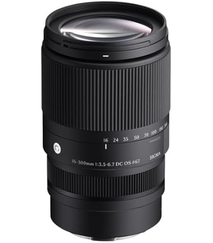 Amazon.com : Sigma 18-125mm f/3.8-5.6 AF DC OS HSM Zoom Lens for
