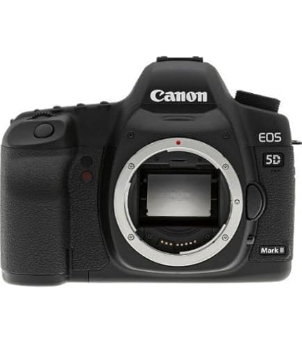 Amazon.com: Canon EOS 5D 12.8 MP Digital SLR Camera (Body Only