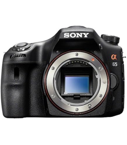Amazon.com : Sony Alpha SLT-A77 Translucent Mirror Digital SLR