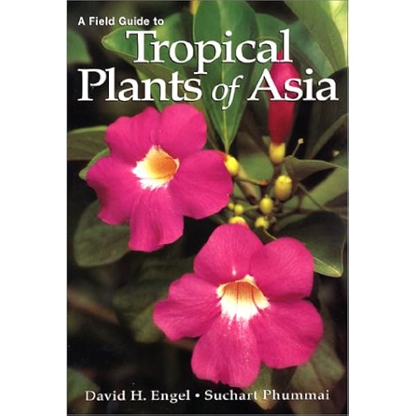 Tropica: Color Encyclopedia of Exotic Plants and Trees: Alfred