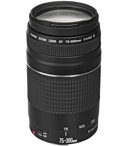 Amazon.com : Canon EF-S 55-250mm F4-5.6 is STM, Telephoto, Black