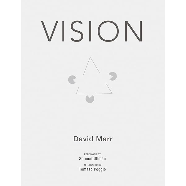 Brain and Visual Perception: The Story of a 25-Year Collaboration