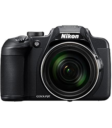 Amazon.com : Nikon COOLPIX P900 Digital Camera (Black) : Electronics
