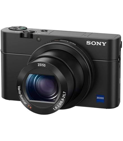 Amazon.com : Sony RX100 20.2 MP Premium Compact Digital Camera w