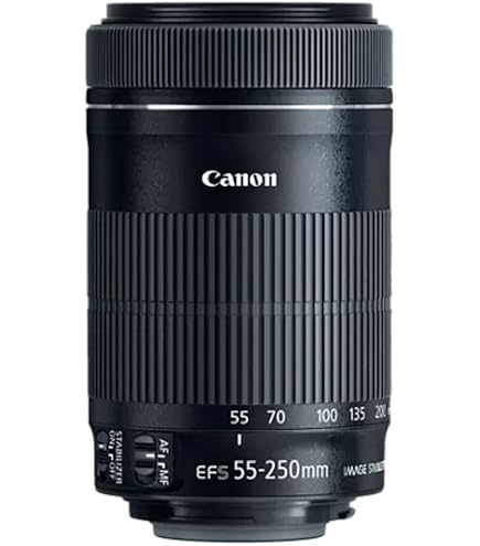 Amazon.com : Canon EF 55-200mm f/4.5-5.6 II USM Telephoto Lens for