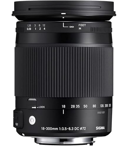 Amazon.com : Tamron AF28-300mm A20 F/3.5-6.3 XR Di VC Macro Zoom